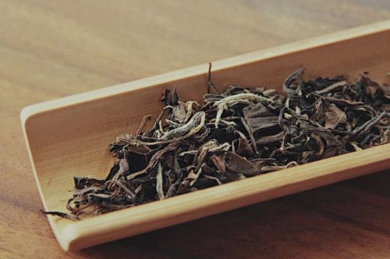 怎么撬老白茶茶餅不容易碎，福鼎白茶如何撬茶方法