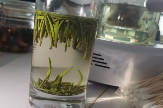 金壇雀舌算不算好茶，金壇雀舌屬于什么檔次茶葉？