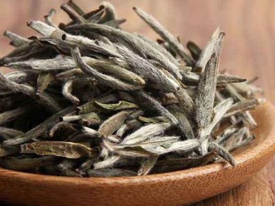 白茶有哪些品種排名，<a href=http://m.czsdfxx.com/fenlei/baicha/ target=_blank class=infotextkey>白茶的種類</a>大全