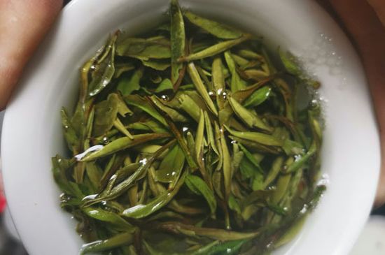 什么人不能喝白茶，白茶不宜什么人喝？