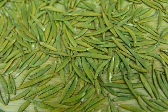 竹葉青和毛尖的區(qū)別，毛尖和竹葉青怎么分辨？