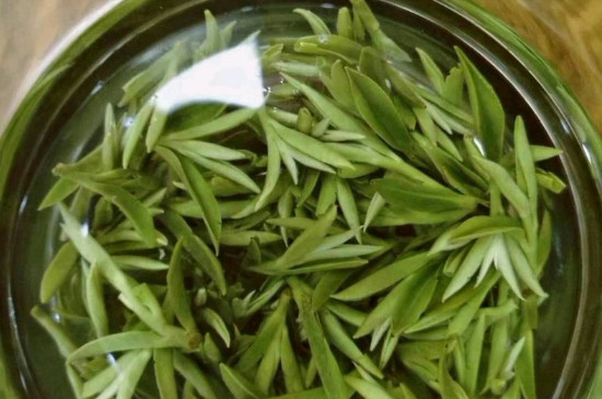 什么綠茶茶葉唇齒留香，哪個(gè)品種綠茶香氣好？