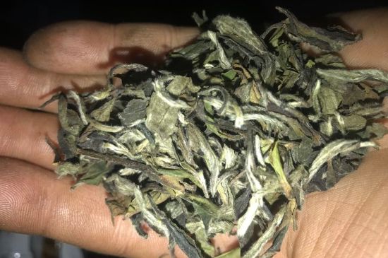 7年壽眉和2年白牡丹哪個好，老白茶壽眉與白牡丹的口感區(qū)別