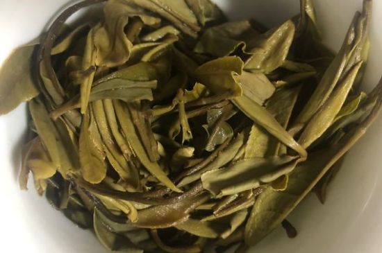 三年白茶賽砒霜，這是真的嗎？