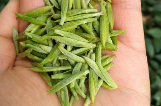 什么綠茶味道濃香，那個(gè)綠茶比較濃香？