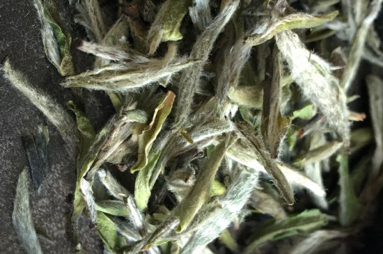 白毫銀針年份久的有什么香，陳年白毫銀針的香氣