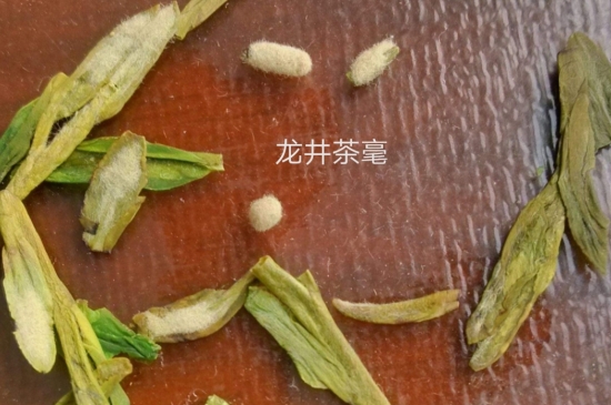西湖龍井茶毫和發(fā)霉區(qū)別圖片，長霉的龍井茶葉會(huì)是什么樣？