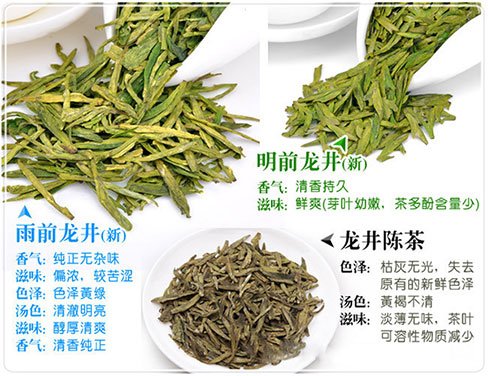 西湖龍井新茶和陳茶的區(qū)別，怎么區(qū)分龍井新茶和舊茶？
