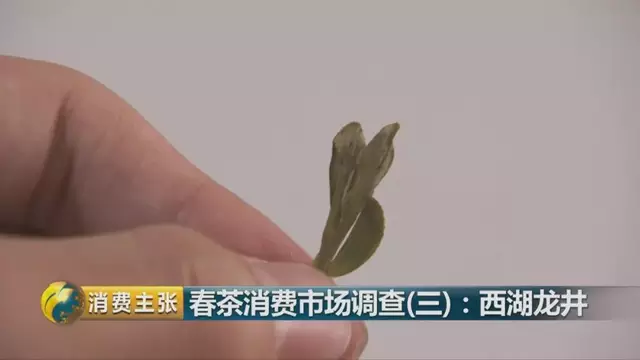 龍井群體種和43號的區(qū)別圖片，龍井43和群體種哪個好喝？