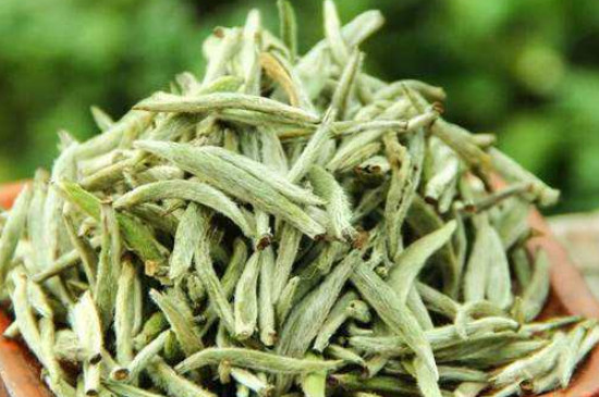 白毫銀針年份越久越好嗎，銀針白毫是否越陳越好