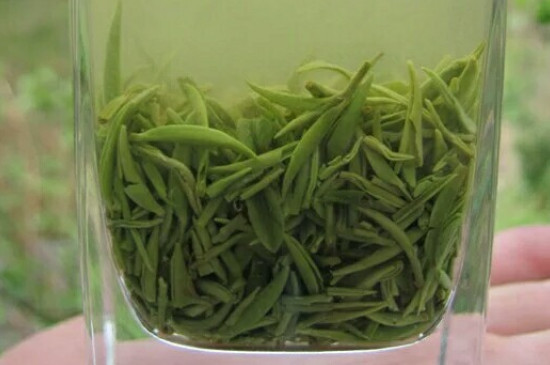 什么綠茶茶葉唇齒留香，哪個(gè)品種綠茶香氣好？