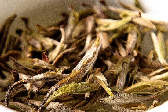 荒野銀針市場(chǎng)價(jià)多少，真正的荒野白毫銀針多少錢(qián)？