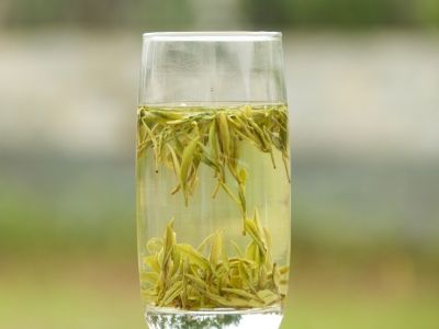 霍山黃芽算是好茶嗎，霍山黃芽屬于什么茶？