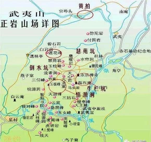 300塊錢的金駿眉能喝嗎，兩三百多金駿眉和一千多區(qū)別