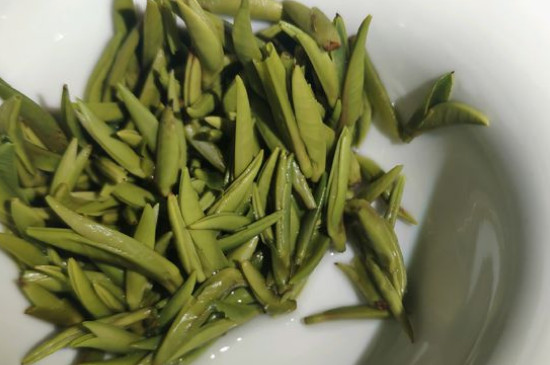 竹葉青茶怎么泡，竹葉青如何沖泡