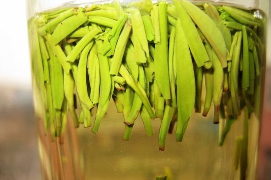 雀舌為何喝著是苦的，雀舌味道怎么那么苦澀？