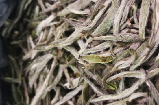 白毫銀針年份越久越好嗎，銀針白毫是否越陳越好